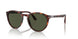 901531 - Havana - Green