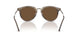 646753 - Tortoise - Dark Brown