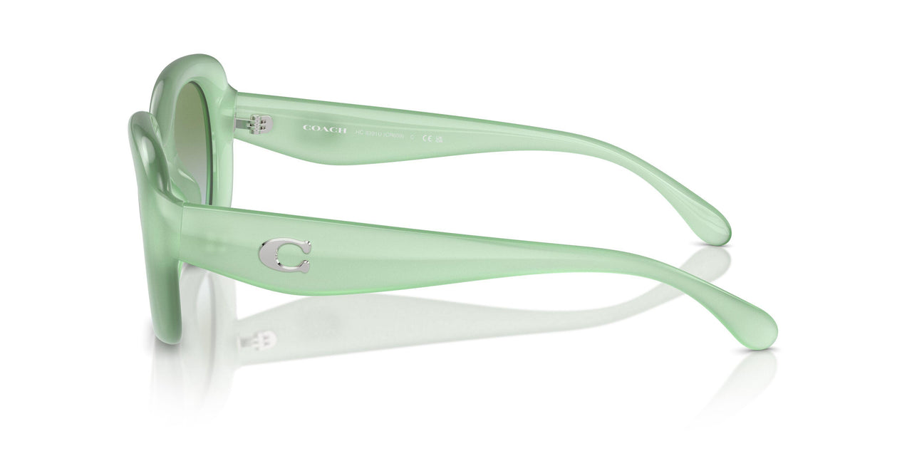 5807I7 - Green - Green Blue Gradient