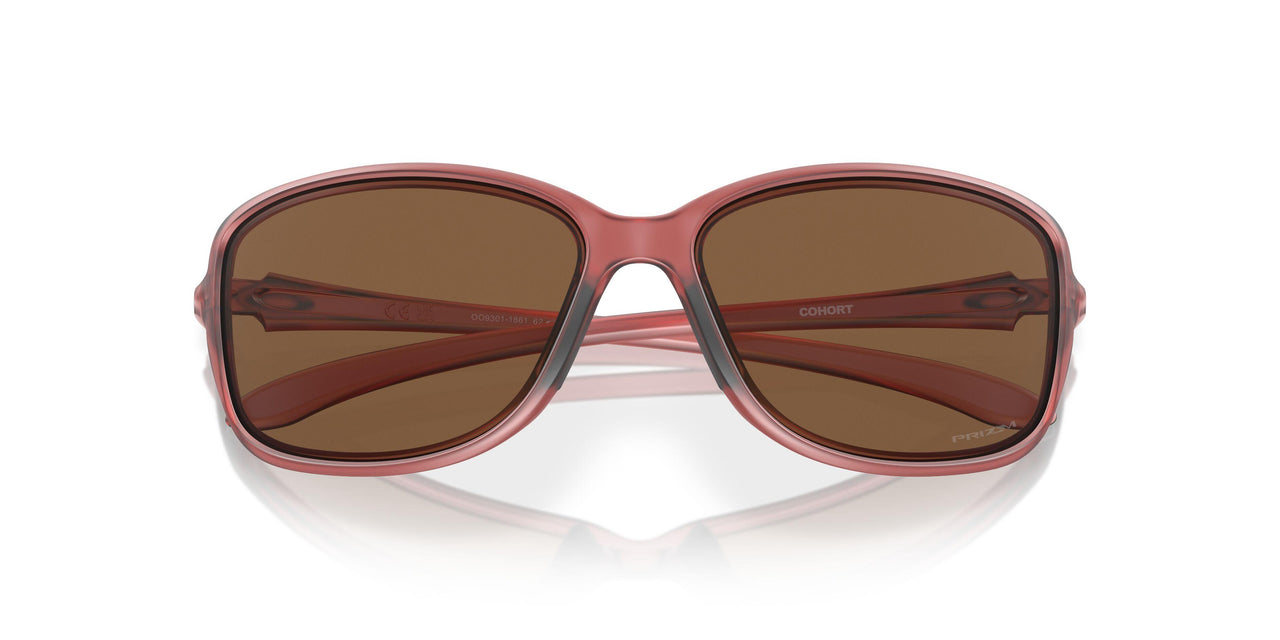 930118 - Violet - Prizm Bronze