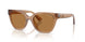 839673 - Brown - Bronze