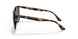 710/13 - Havana - Gradient Brown