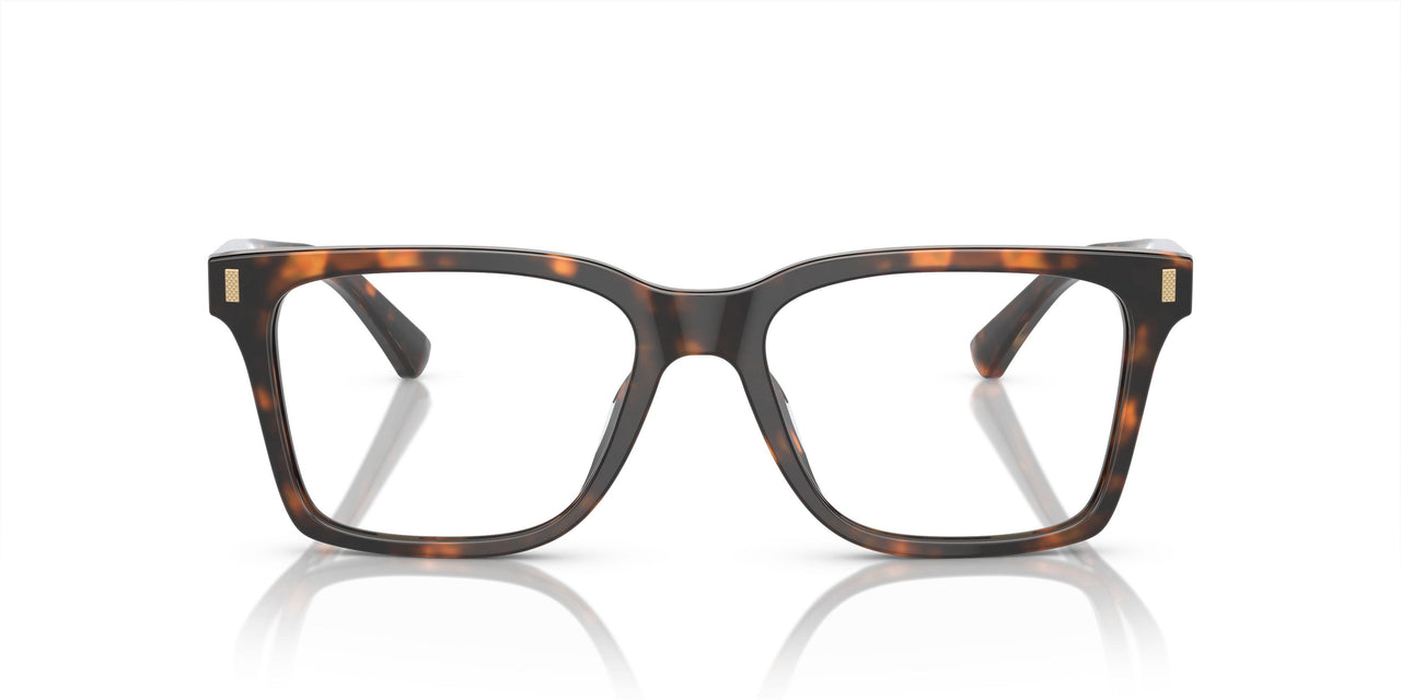 6001 - Tortoise