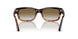 116051 - Brown - Gradient Brown