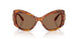 109173 - Brown - Dark Brown