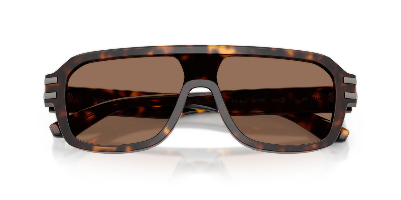 502/73 - Tortoise - Dark Brown
