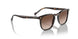 W65613 - Havana - Brown Gradient