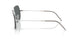003/81 - Silver - Dark Grey Polarized