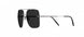 6560 - Ruthenium Black - SLM POL Grey