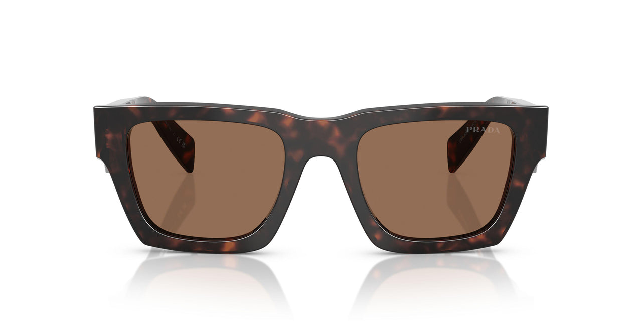 17N06B - Tortoise - Dark Brown