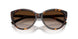 80153B - Tortoise - Brown Gradient