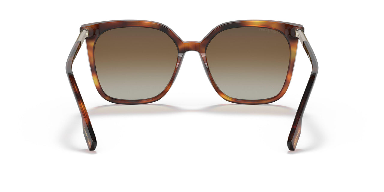 3316T5 - Havana - Gradient Brown Polar