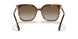 3316T5 - Havana - Gradient Brown Polar
