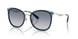 945235 - Silver - Blue Gradient