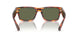 16S03R - Red - Green Polarized