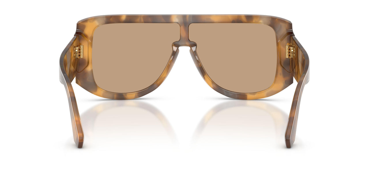 349663 - Tortoise - Light Brown