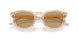 647173 - Brown - Brown