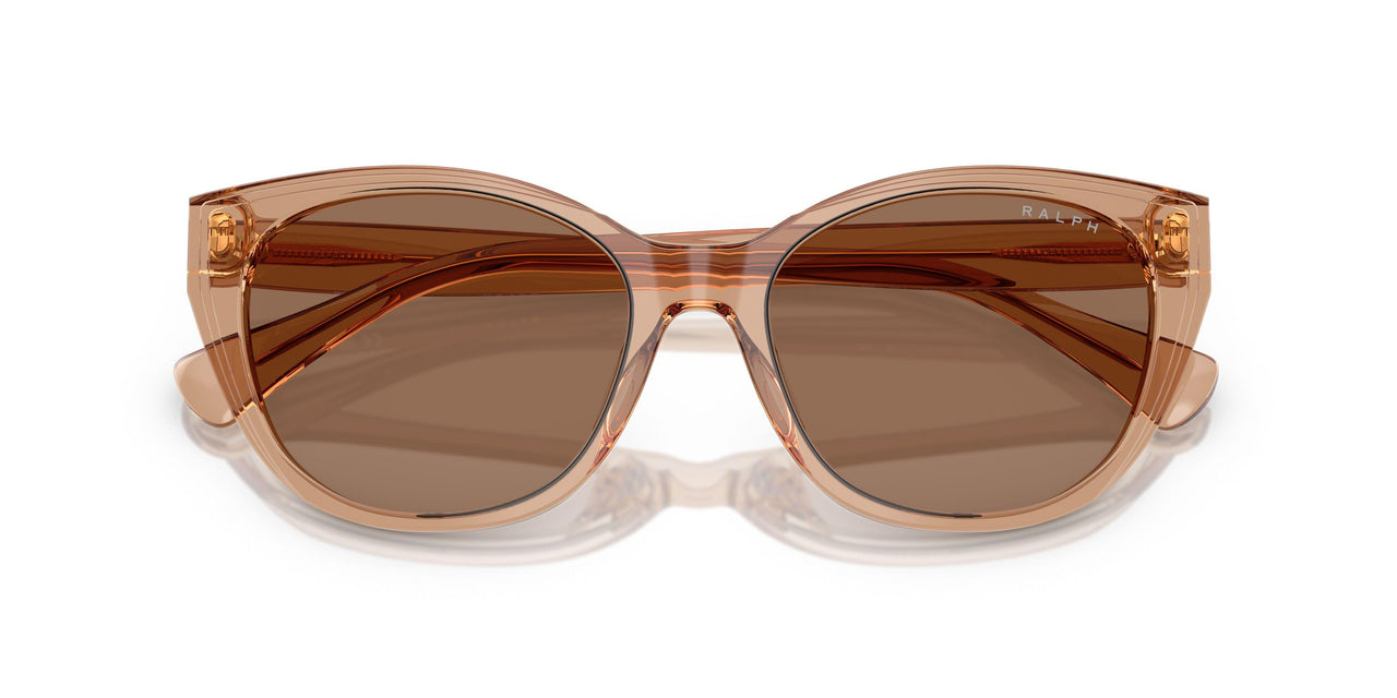 582673 - Brown - Brown