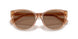 582673 - Brown - Brown
