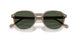 32939A - Brown - Dark Green Polar