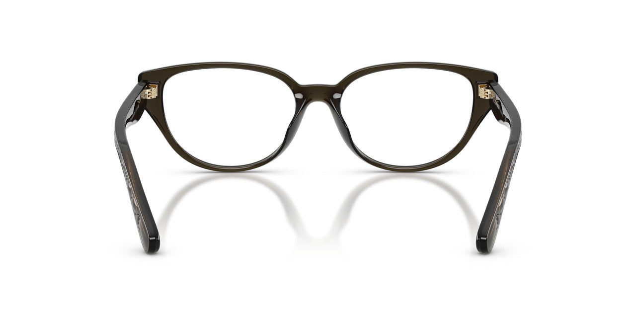 5400 - Brown