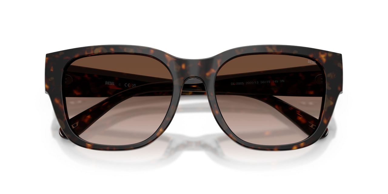 202213 - Tortoise - Brown Gradient