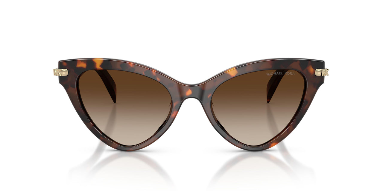 403113 - Tortoise - Smoke Gradient
