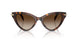 403113 - Tortoise - Smoke Gradient