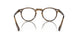1689 - Brown