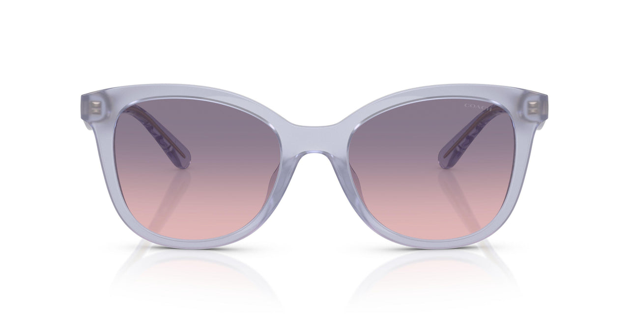 5873I6 - Violet - Violet Gradient