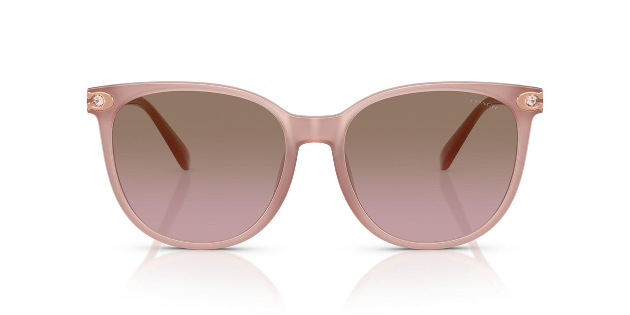 583914 - Pink - Brown Rose Gradient