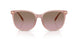 583914 - Pink - Brown Rose Gradient
