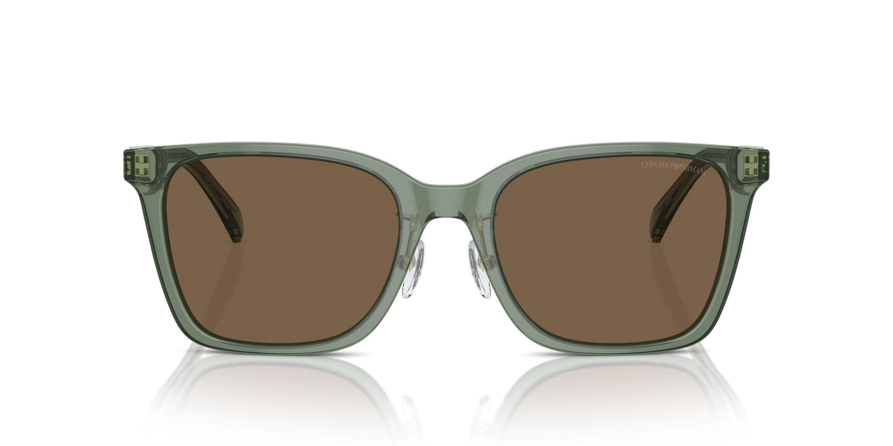 536273 - Green - Dark Brown