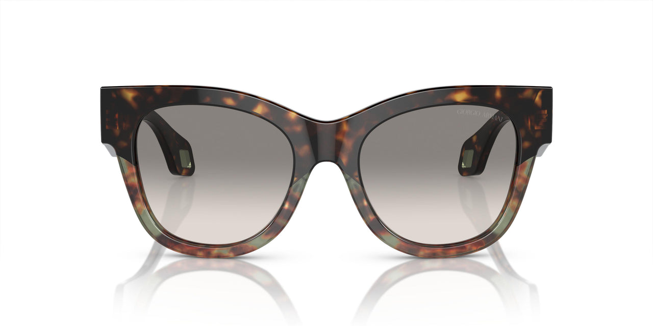 587932 - Brown - Clear Gradient Grey