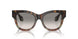 587932 - Brown - Clear Gradient Grey