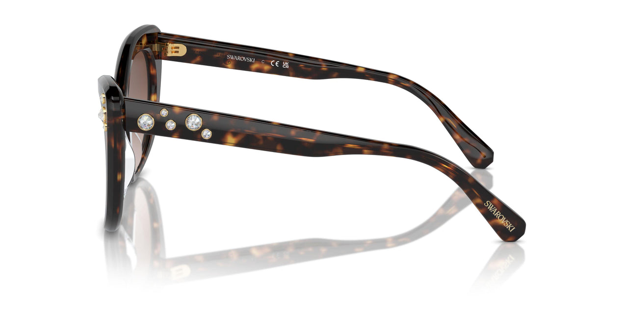 100213 - Tortoise - Gradient Brown