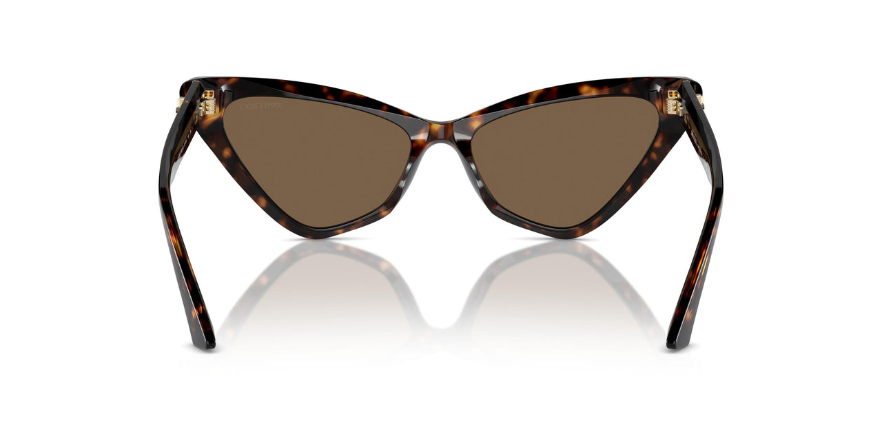 500273 - Tortoise - Dark Brown