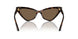 500273 - Tortoise - Dark Brown