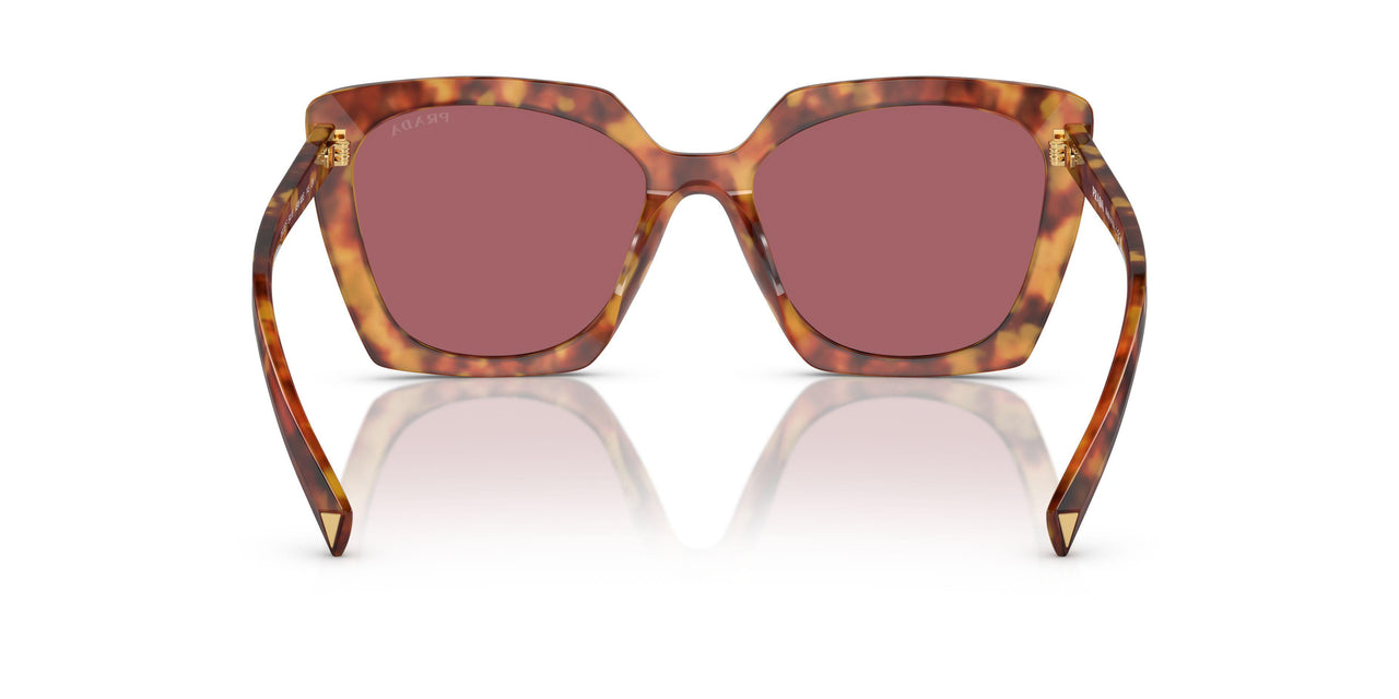 4BW08S - Tortoise - Dark Violet