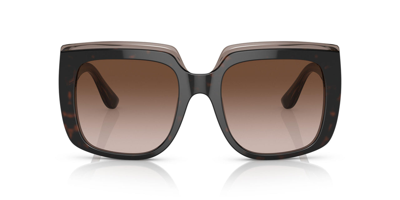 502/13 - Havana - Gradient Brown