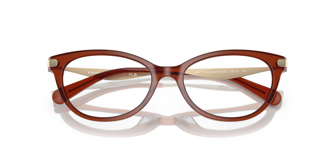 5847 - Brown