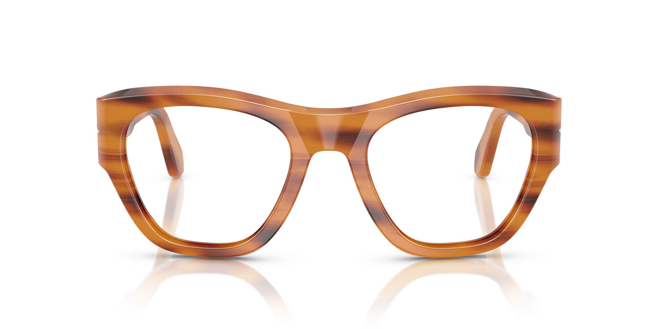 960 - Tortoise