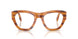 960 - Tortoise
