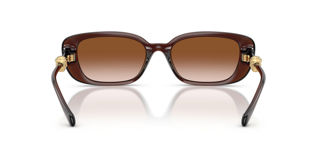 533213 - Brown - Brown Gradient