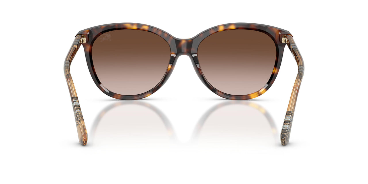 421613 - Brown - Brown Gradient