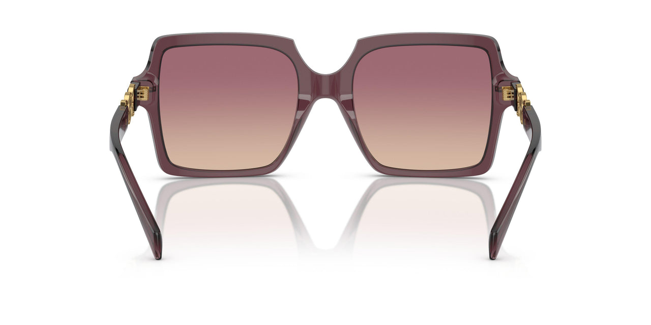 520968 - Violet - Brown Gradient Violet