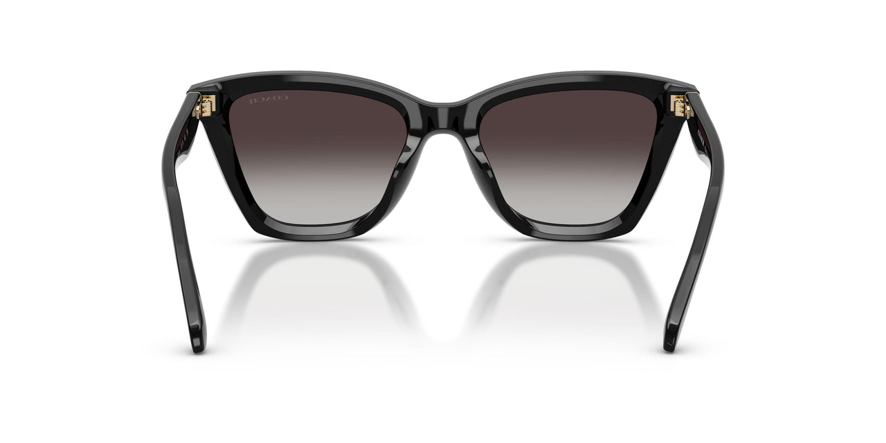 50028G - Black - Grey Gradient
