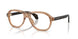 3037 - Brown
