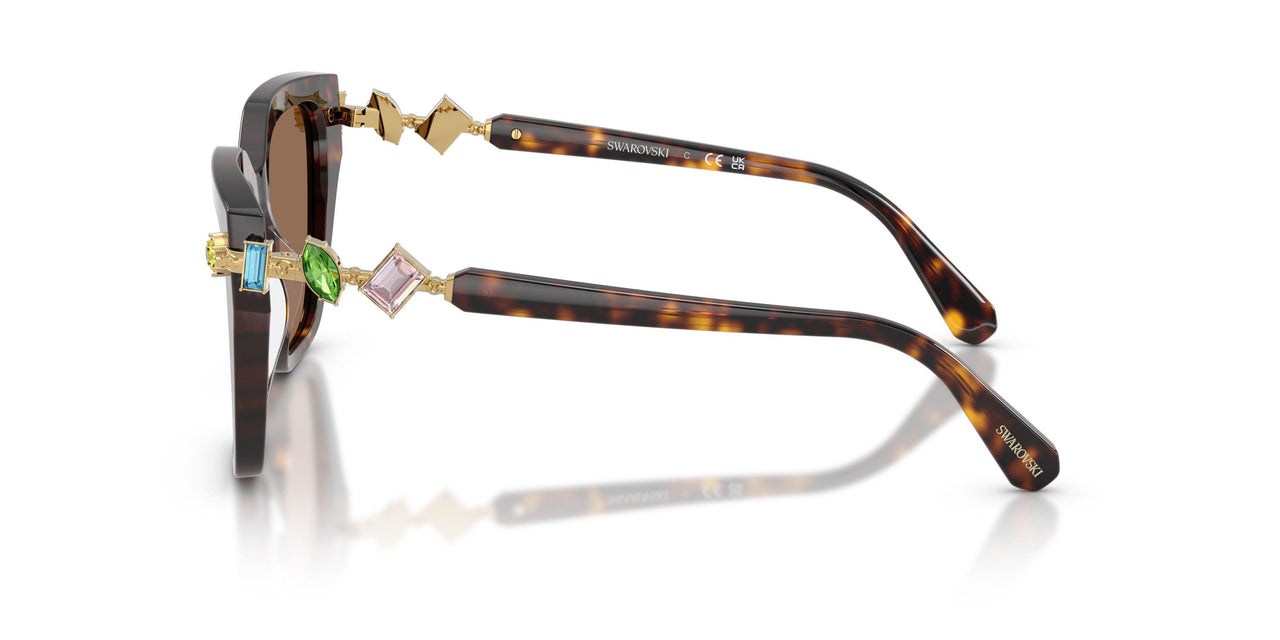 100273 - Tortoise - Dark Brown