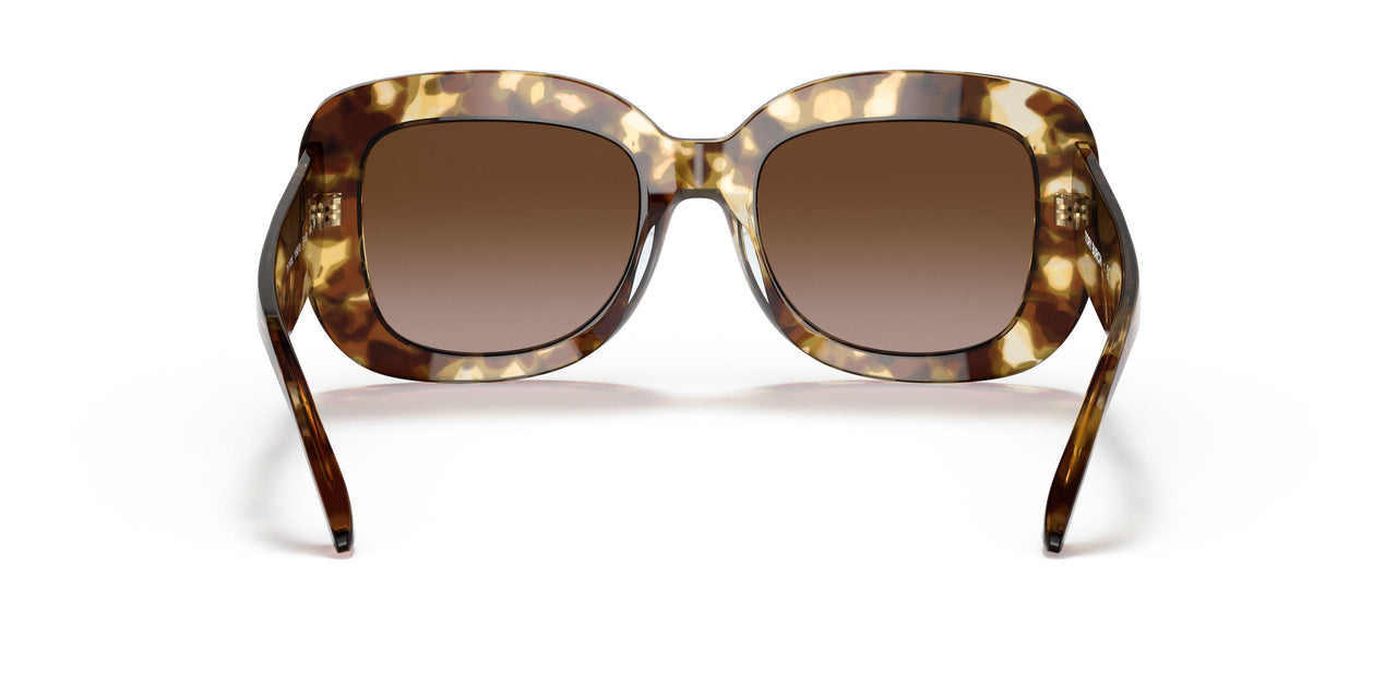 115013 - Havana - Brown Gradient